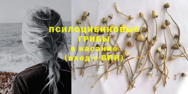 дурь Волосово