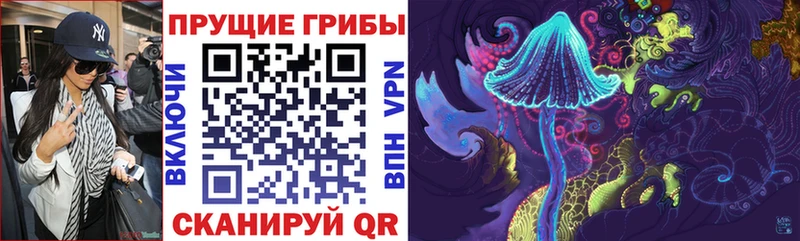 где купить   Чкаловск  Псилоцибиновые грибы Magic Shrooms 